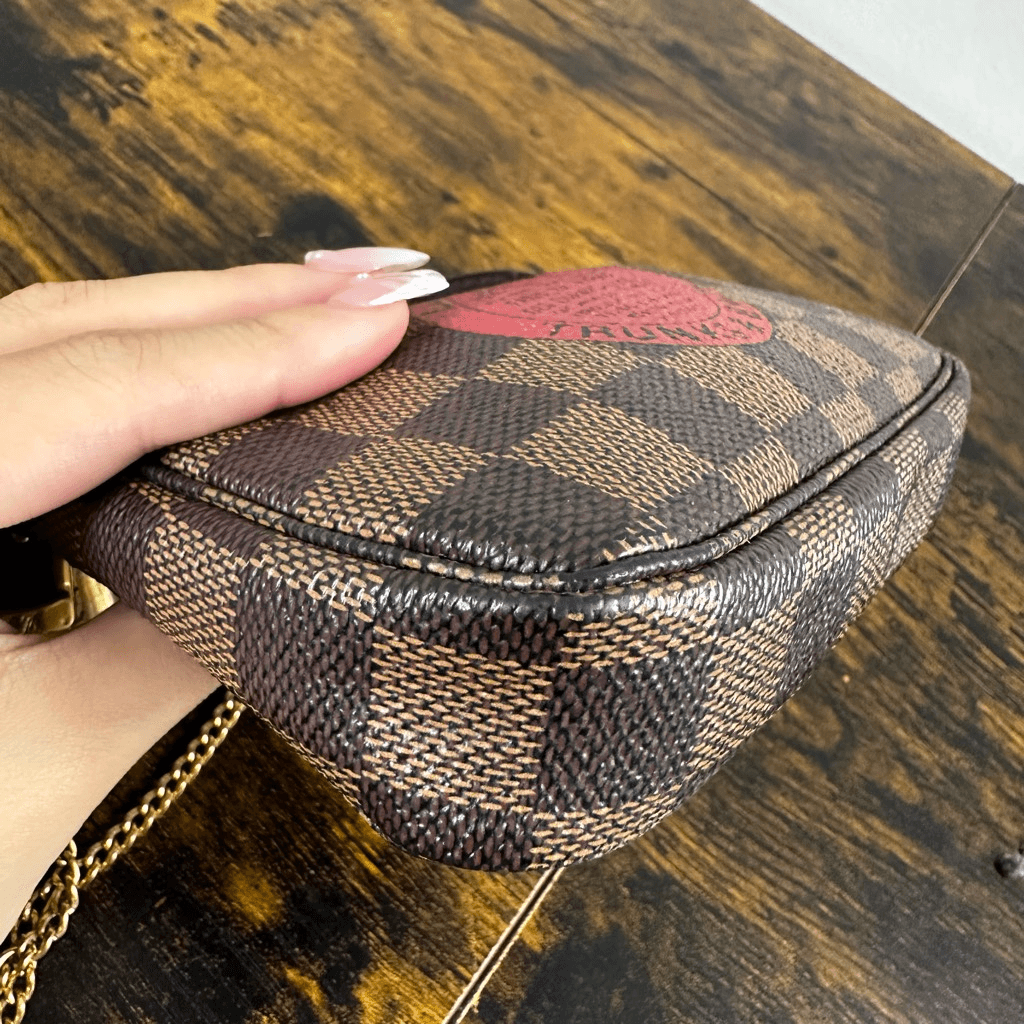 Louis Vuitton Damier Ebene Trunks & Bags Mini Pochette Bag