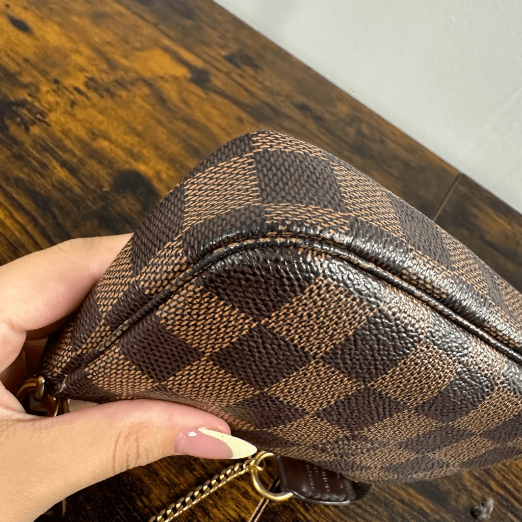 Louis Vuitton Damier Ebene Trunks & Bags Mini Pochette Bag