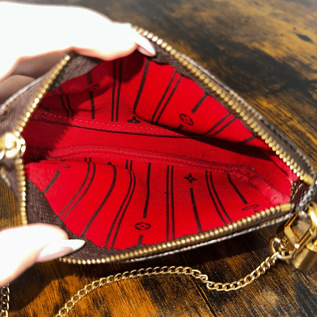 Louis Vuitton Damier Ebene Trunks & Bags Mini Pochette Bag