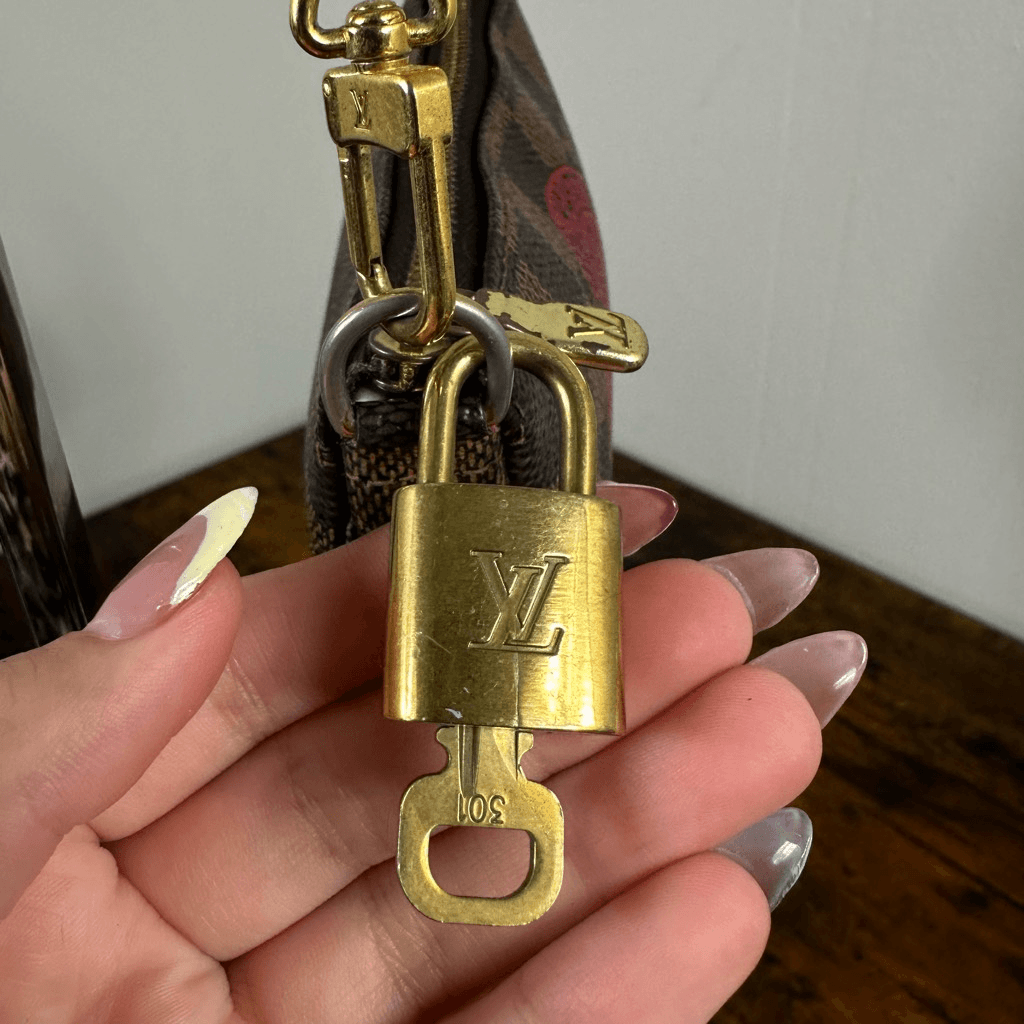 Louis Vuitton Damier Ebene Trunks & Bags Mini Pochette Bag