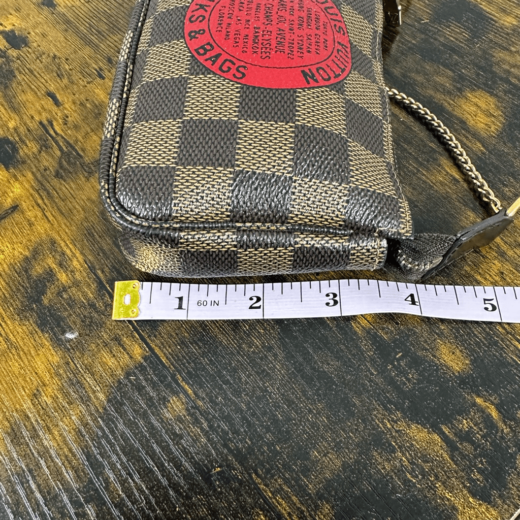 Louis Vuitton Damier Ebene Trunks & Bags Mini Pochette Bag